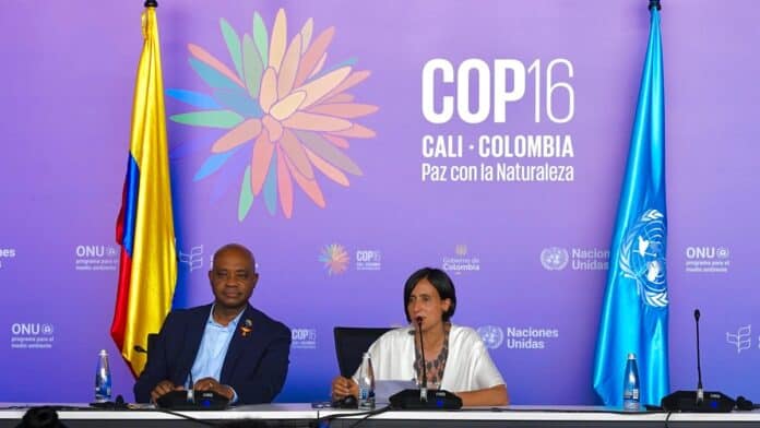 COP16: Se lanzó la Coalición Paz con la Naturaleza que busca proteger la biodiversidad en el cambio climático