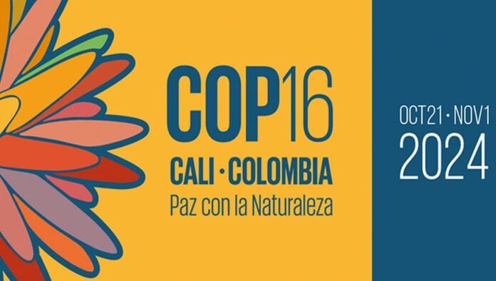 Se inauguró este domingo la COP16 en Cali (Colombia)