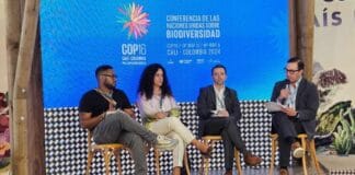 COP 16: Findeter ha desembolsado $1,81 billones para proyectos sostenibles en Colombia