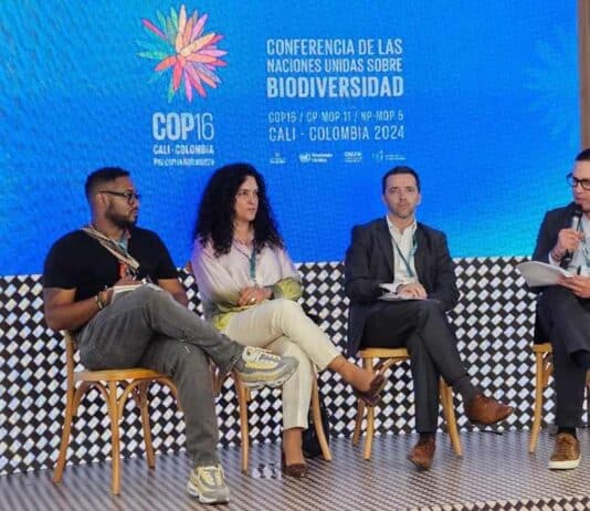 COP 16: Findeter ha desembolsado $1,81 billones para proyectos sostenibles en Colombia