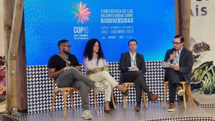 COP 16: Findeter ha desembolsado $1,81 billones para proyectos sostenibles en Colombia