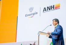 Entrevista | Déficit de gas y renovables entre las prioridades de la ANH en Colombia