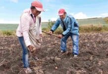 Microseguros climáticos: Así puede proteger sus cultivos y negocios en temporada de lluvias