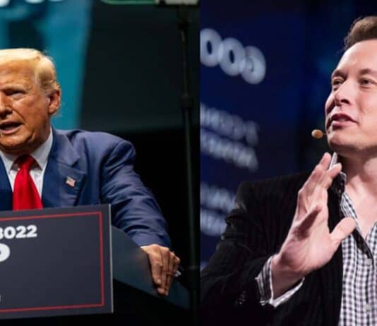 Donald Trump le dio un cargo a Elon Musk en su gobierno.