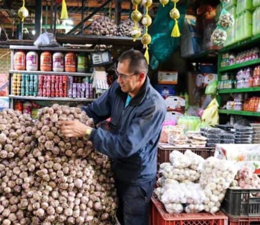 trabajadores independientes en Colombia