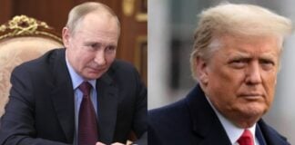 Donald Trump y Vladimir Putin podrían reunirse para hablar sobre guerra en Ucrania