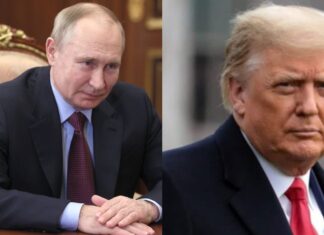 Donald Trump y Vladimir Putin podrían reunirse para hablar sobre guerra en Ucrania