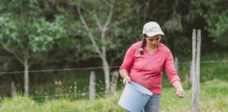 Sector minero alerta por resolución de MinAgricultura para Zonas de Protección para la Producción de Alimentos