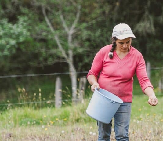 Sector minero alerta por resolución de MinAgricultura para Zonas de Protección para la Producción de Alimentos