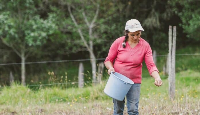 Sector minero alerta por resolución de MinAgricultura para Zonas de Protección para la Producción de Alimentos