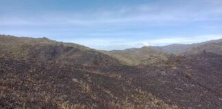 Controlado incendio forestal en el Parque Nacional Chingaza: 147 hectáreas afectadas