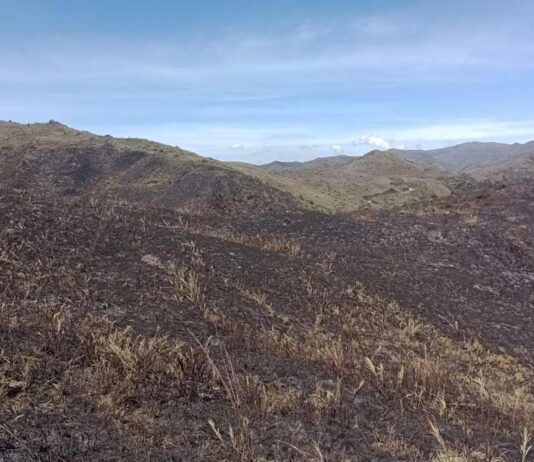 Controlado incendio forestal en el Parque Nacional Chingaza: 147 hectáreas afectadas