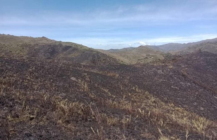 Controlado incendio forestal en el Parque Nacional Chingaza: 147 hectáreas afectadas