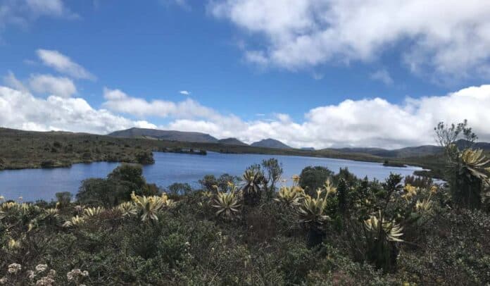 ¿Qué medidas se están tomando para la protección del agua en Bogotá?